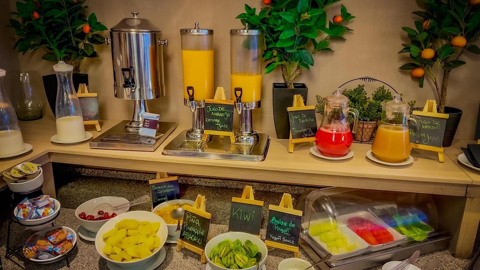 Panamericana Hotel Providencia Сантяго Екстериор снимка